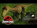 The History of the Troodon in the Jurassic Park Franchise