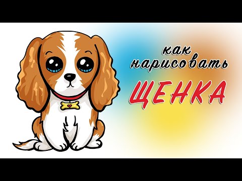 КАК ПРОСТО НАРИСОВАТЬ СОБАКУ / РИСУЕМ МИЛОГО ЩЕНКА / НАРИСУЕМ КРАСИВУЮ СОБАКУ / СОБАКА РИСУНОК