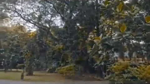 Sorry Mama Moha K(official music video)