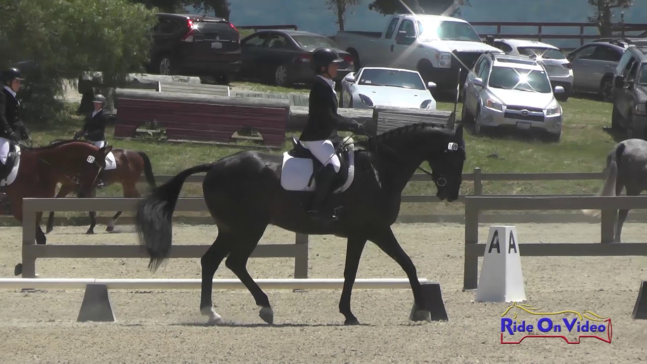 horseshoe bend 169S Erin Kellerhouse on Sir Elijah Craig Training Horse Show Jumping Woodside May 2019