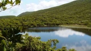 Serreta - Ilha Terceira