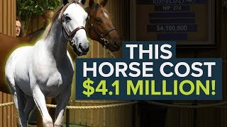 $4m For A Horse? | The Most Expensive Horse Of 2019 | Aussie Pride Sold At Keeneland Yearling Sale