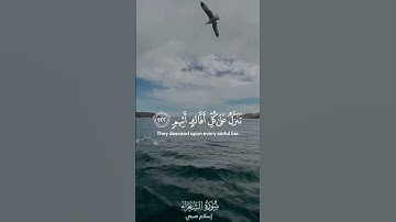 تلاوة هادئة/ سورة الشعراء إسلام صبحي