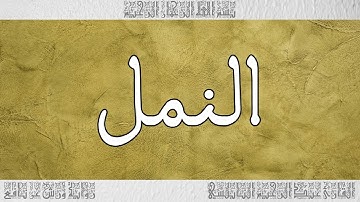 القرآن القارئ عبد الرحيم النابلسي سورة النمل 027