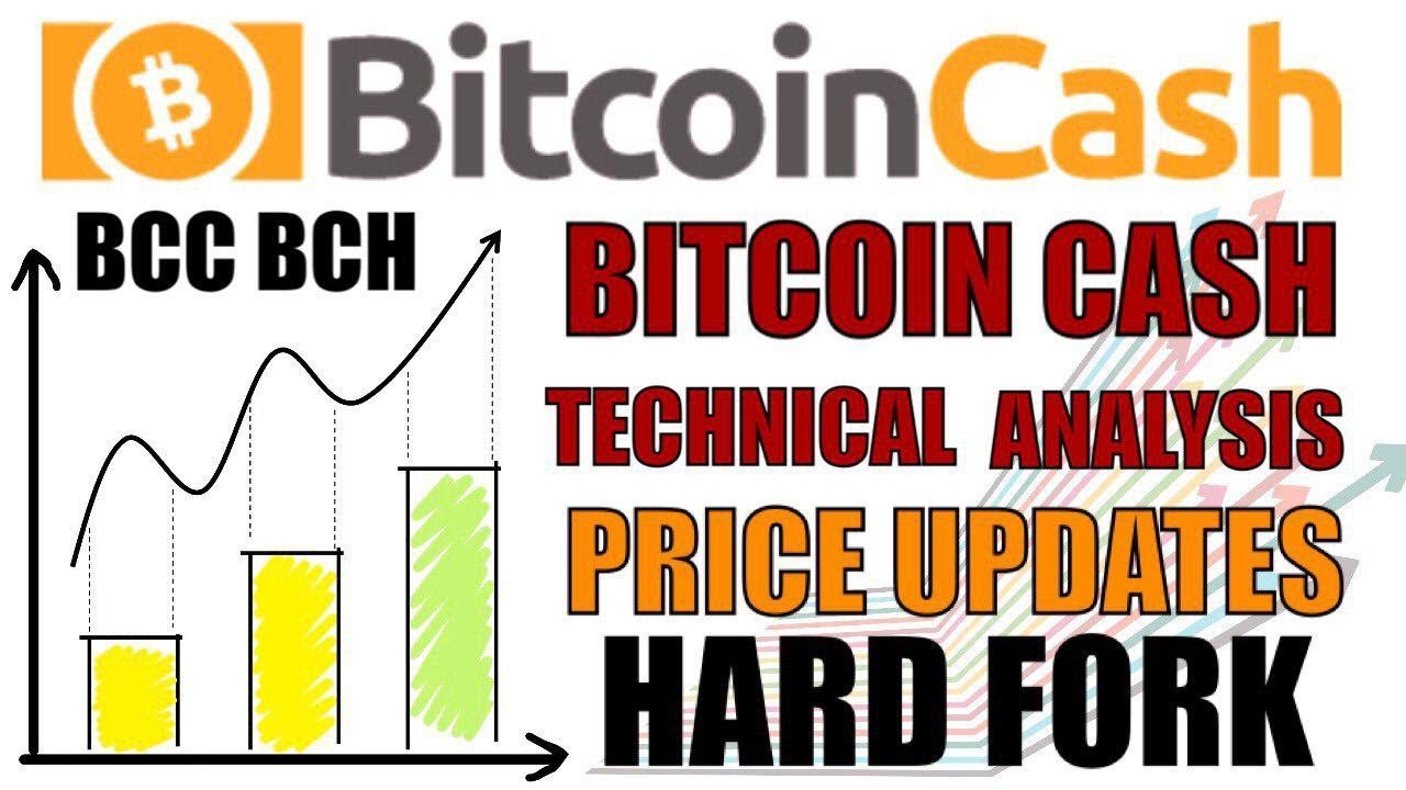 Bitcoin Cash Live Price Chart