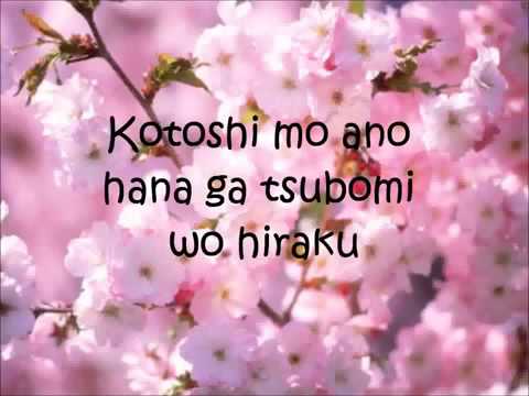 Sakura Ikimono Gakari Lyrics Letra