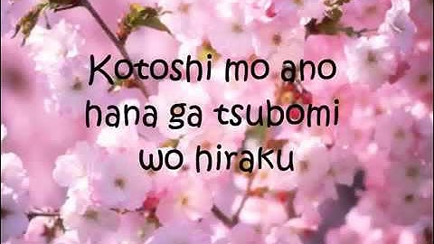 Sakura Ikimono Gakari Lyrics Letra