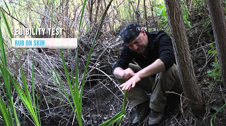 AFTER EARTH Survival Tips - Episode 4: What To Eat