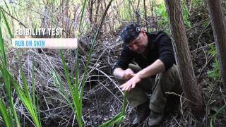 After Earth Survival Tips - Episode 4 What To Eat