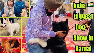 India 🇮🇳 Biggest Dog🐕 Show In Karnal, Haryana 😱😱 KCI Dog Show 2024 #doglovers #1