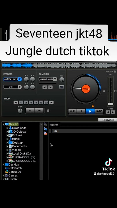 seventeen jkt48 jungle dutch tiktok viral