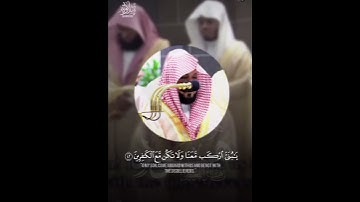 تأثر  الشيخ ماهر المعيقلي من ليالي رمضان  تلاوه مبكيه صلى على النبي 🤍