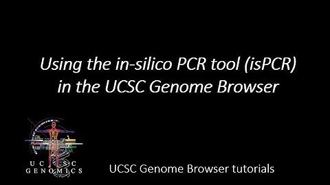 Using the in-Silico PCR (isPCR) tool in the UCSC Genome Browser