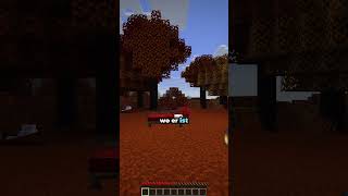 Dieses Bett explodiert im Nether nicht! | Nutzt du lieber Strohbett oder normales Bett?