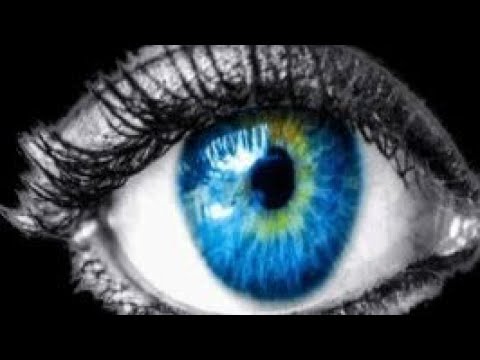 Shadmehr Aghili Tamasha 2