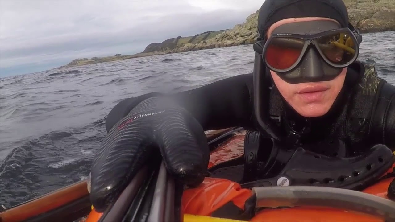 Spearfishing woman, Norway 2017 YouTube