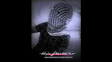 دليلة هموم كلبي وصارن هواي 
