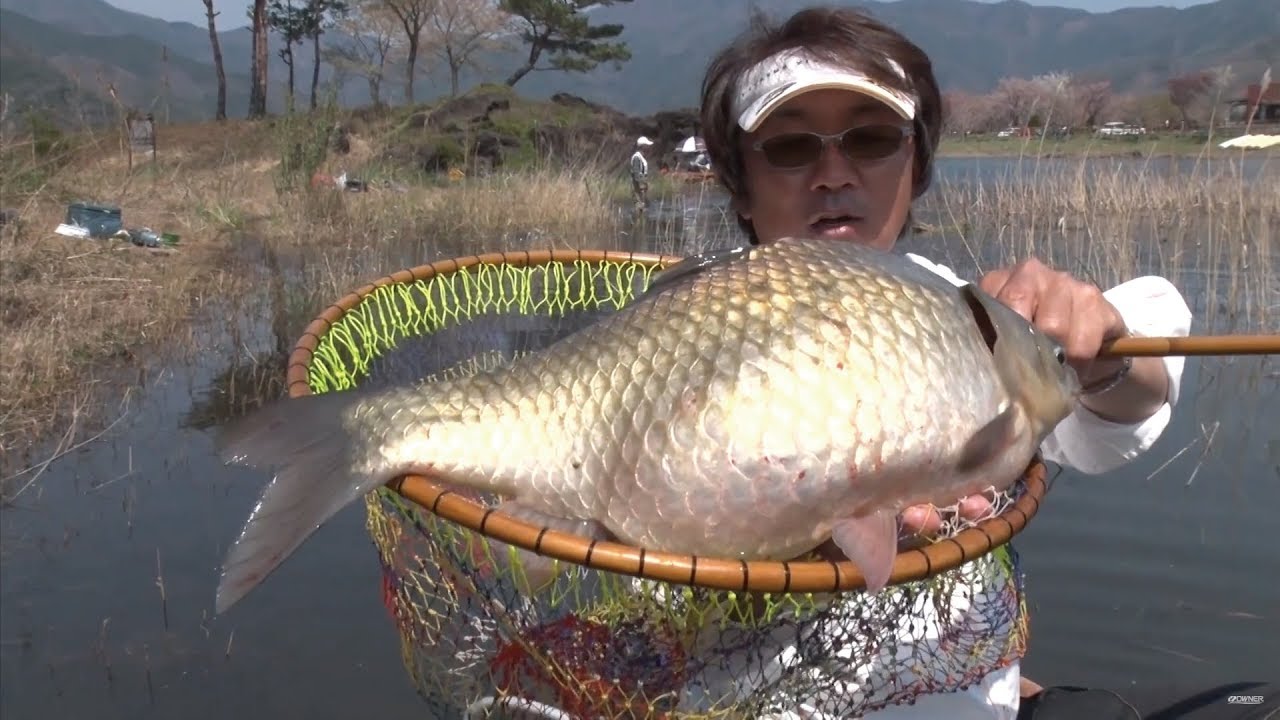 #159 春の河口湖で狙う尺半ヘラブナ・ビッグママ～ノッコミシーズン・価値ある一枚を求めて～