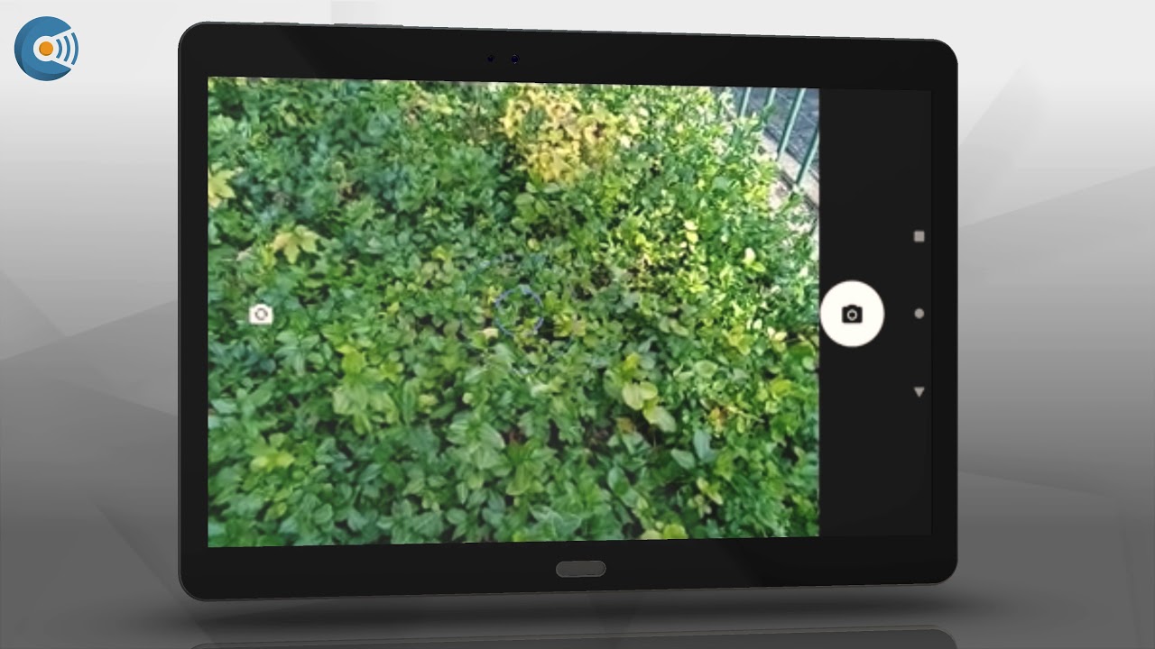 ISM Software - Bestrijding van invasieve exoten