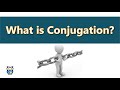 What is Conjugation?