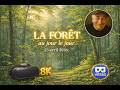 VR180 3D - 8K - LA FORÊT au jour le jour - 23 avril 2026