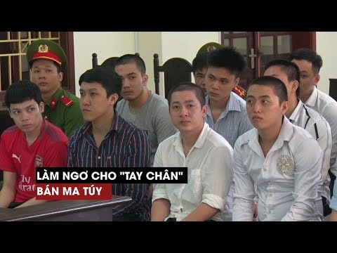Video Bản án cho quản lý quán karaoke làm ngơ cho tay chân... - youtube