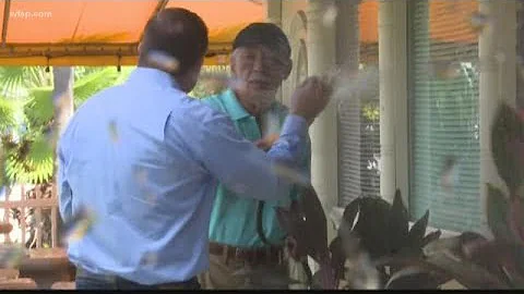 Here's a look back at Restaurant Red Alert in 2019