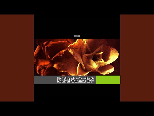 Kenichi Shimazu Trio - Dark Eyes