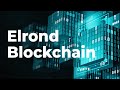 Elrond (EGLD) - конкурент Ethereum (ETH)? / Обзор проекта