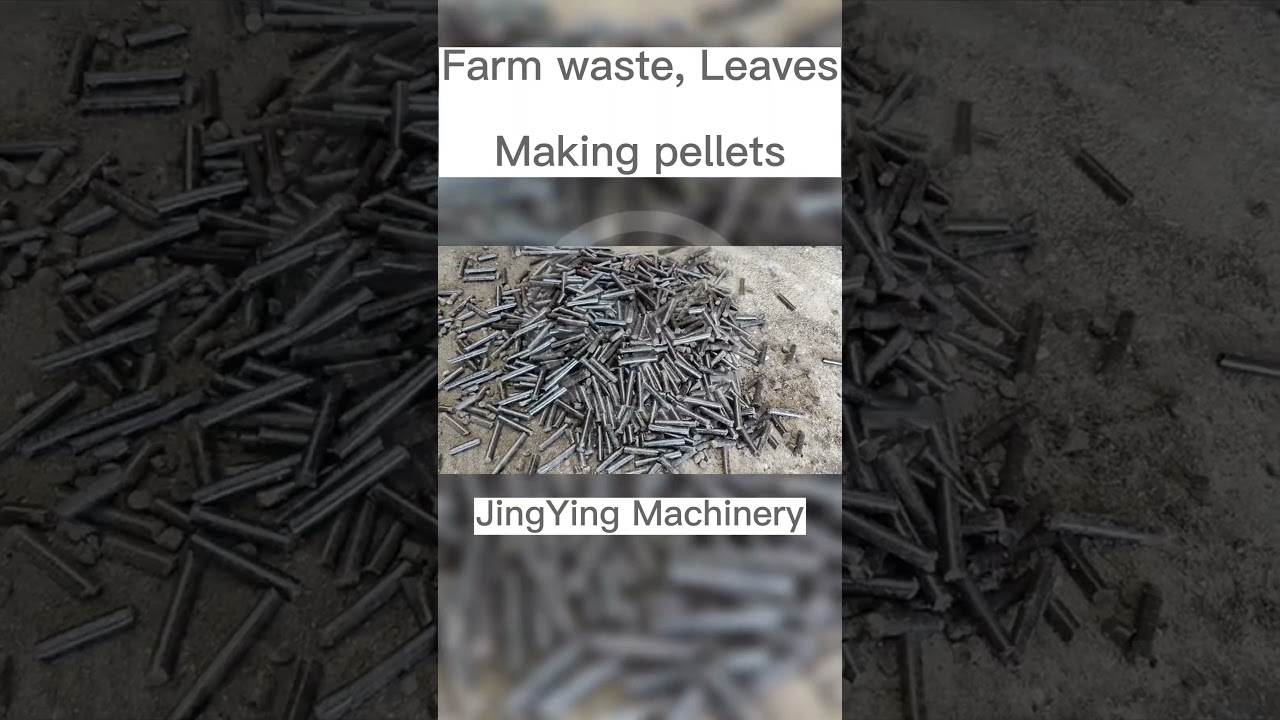 Jingying Flat die pellet machine biomass sawdust pellet mill