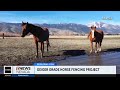 Wild horse fencing along a stretch of Geiger grade has now passed