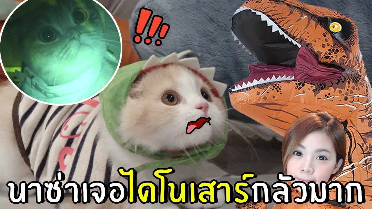 นาซ่าเจอไดโนเสาร์กลัวมาก