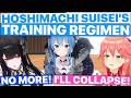 Suisei's Training Regimen That Scared Nerissa & Miko Off (Hoshimachi Suisei / Hololive) [Eng Subs]