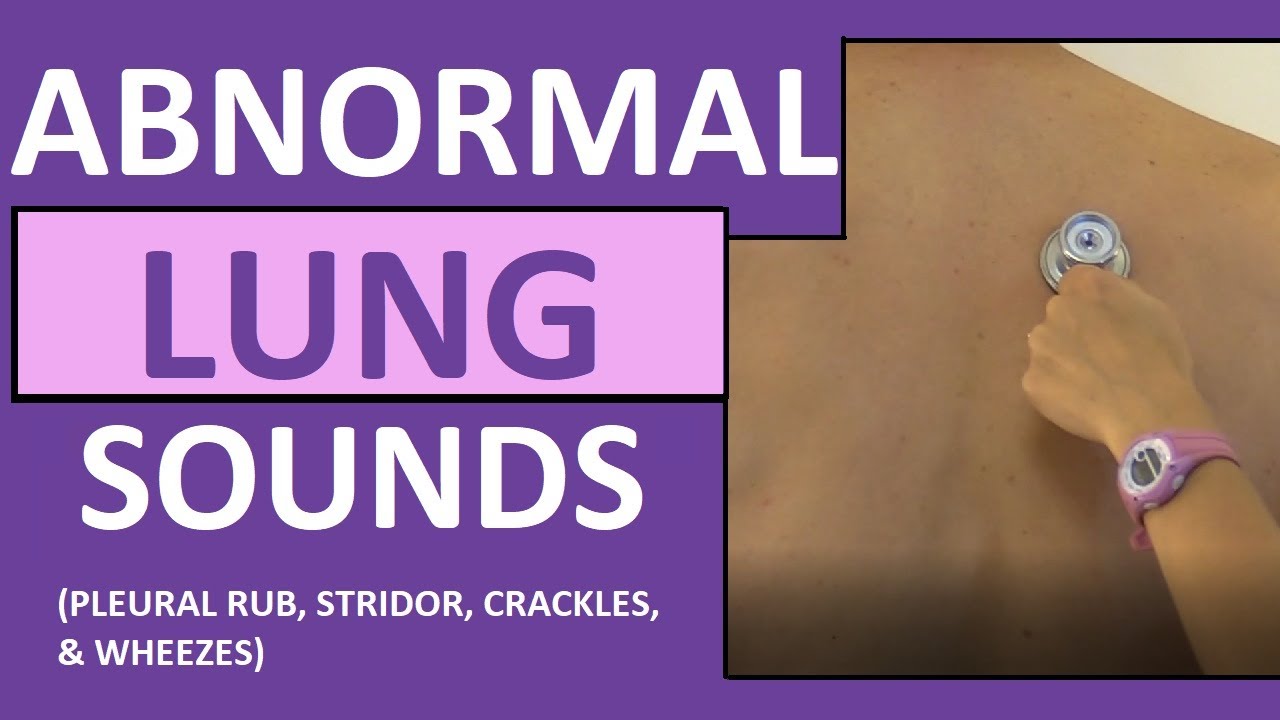 Lung Sounds Abnormal Crackles Rales Wheezes Rhonchi Stridor Pleural Friction Rub Breath Sounds