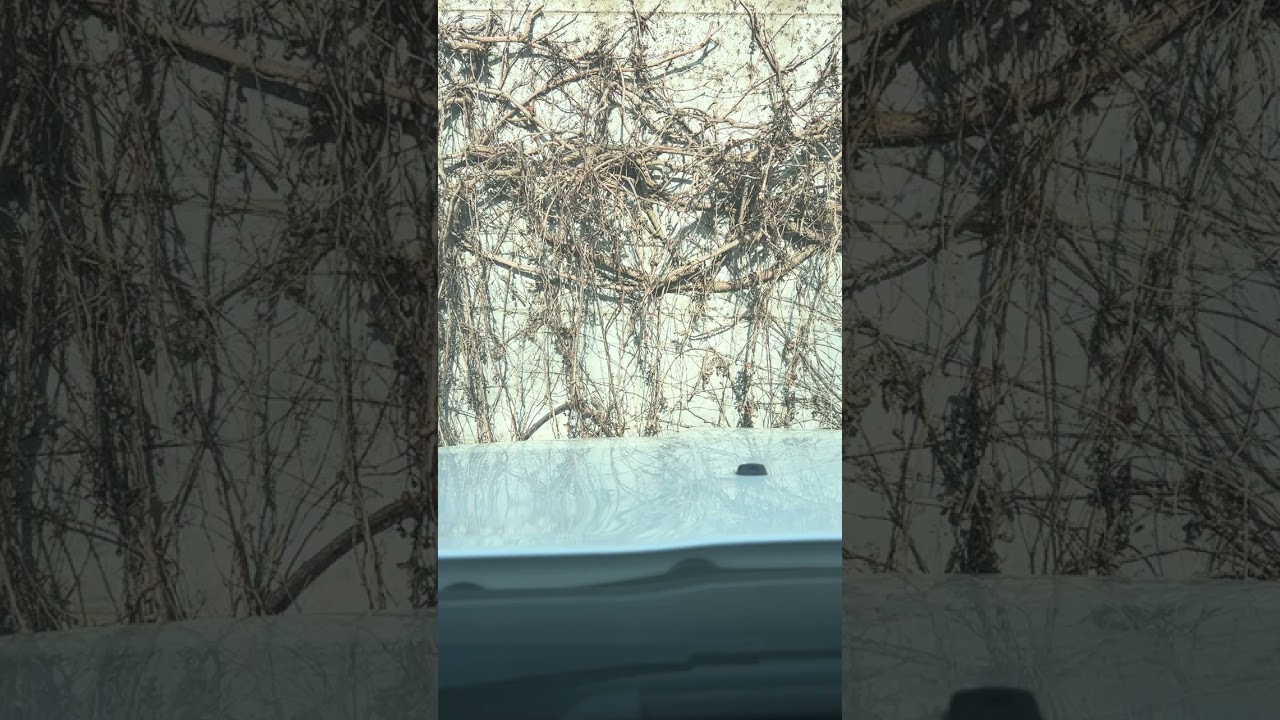 AFFLICTION LA PORTE ÉTROITE 