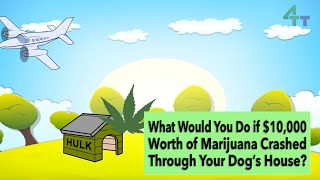 25 Pounds of Marijuana Falls Through Arizona Dog House