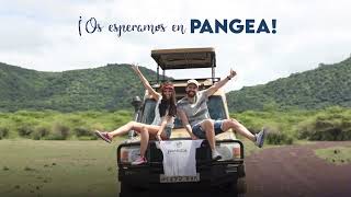 ¿Buscando viaje de novios? ¡Segunda luna de miel gratis! - PANGEA The Travel Store