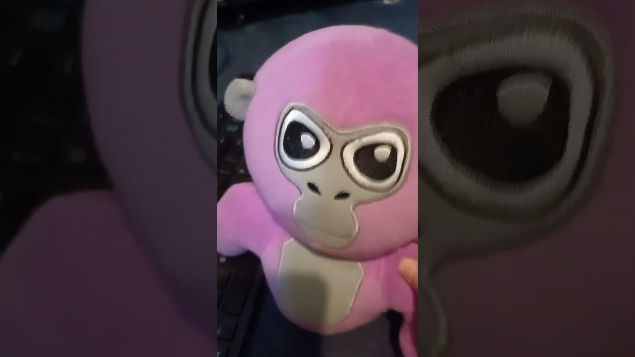 Well There Goes My Money Gorillatag