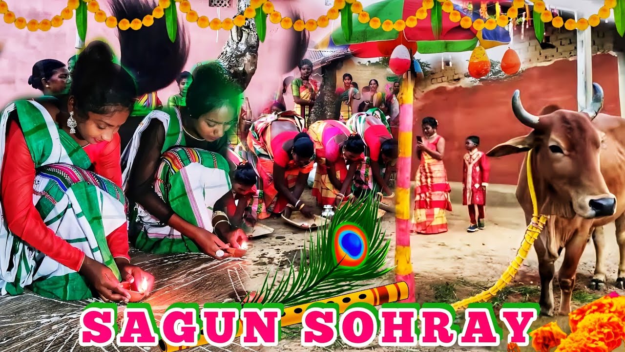 Sagun sohray   Sohray video   santali video 2023  SAGUN SOHRAY New Santali Sohray Song 2023