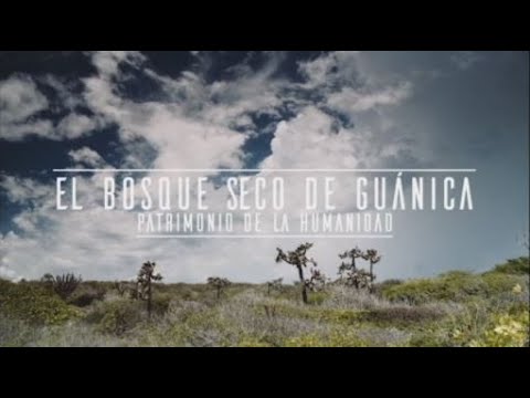 Video: Descubre las Maravillas Naturales del Bosque Seco de Guánica