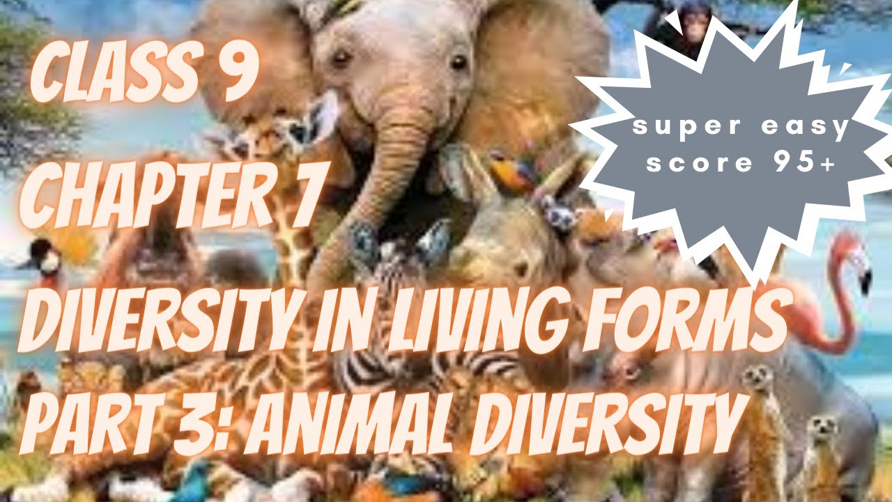 Class 9 chapter 7 Diversity in living forms part 3: Animal diversity in ...