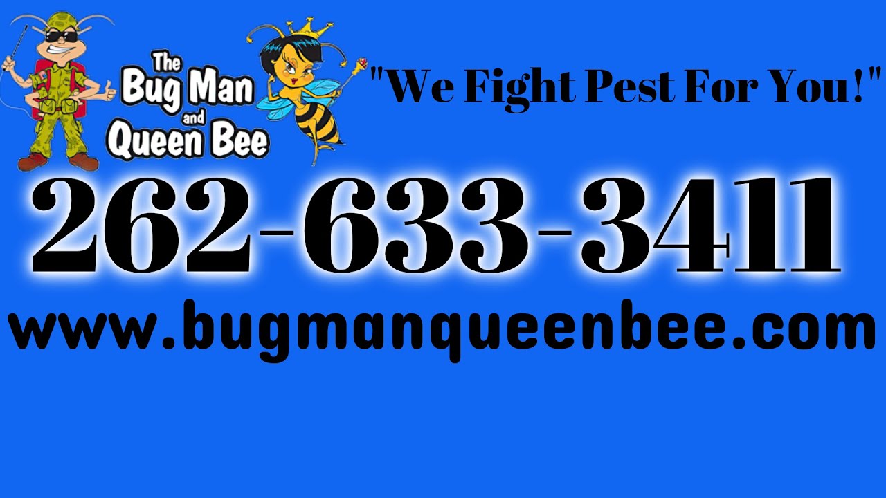 Pest Control in Milwaukee - The Bugman and Queen Bee