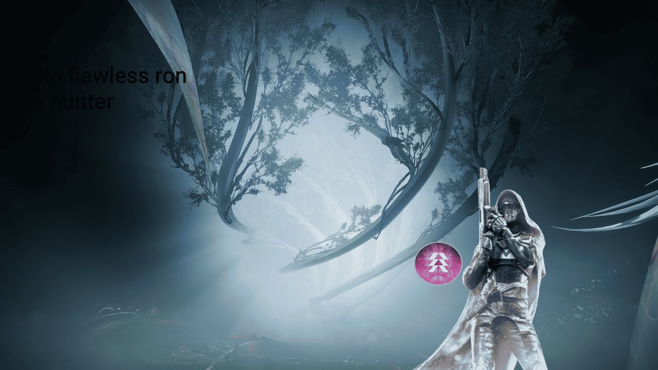 solo flawless root of nightmares on hunter