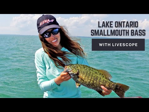 Fishing for Lake Ontario Smallmouth Bass Using Garmin LiveScope!