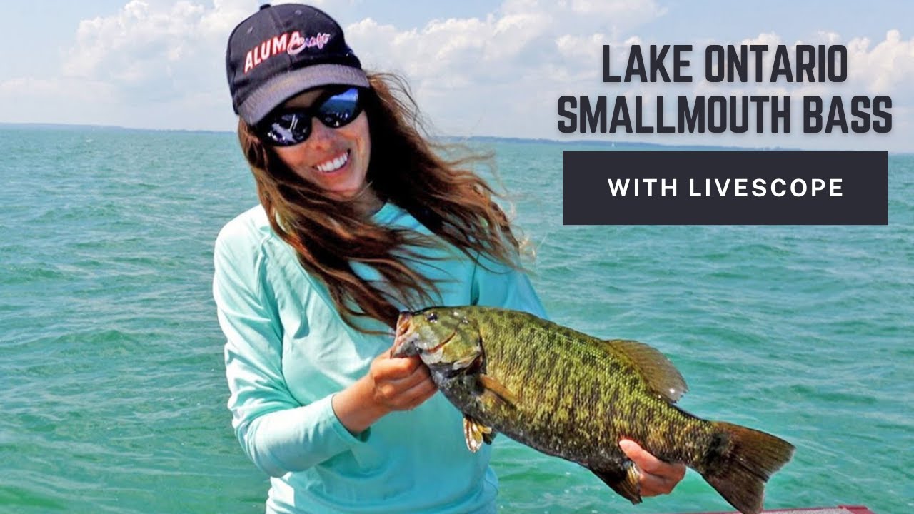 Fishing for Lake Ontario Smallmouth Bass Using Garmin LiveScope! YouTube