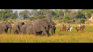 Safari at Macatoo - Botswana