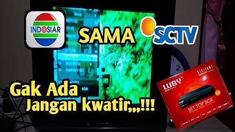 Cara mencari channel indosiar dan sctv di set top box luby