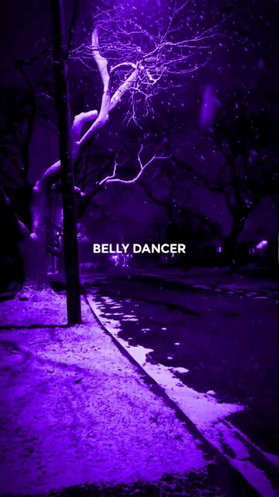 Bonanza (Belly dancer) - Akon | Tiktok remix | #shorts #bonanza #akon #bellydancer #lyrics #ytshorts