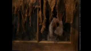 Kenny Loggins - Im All Right (Caddyshack Jam)