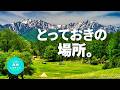 反則級の絶景体験!長野のとっておき穴場キャンプ場|RAV4アドベンチャー